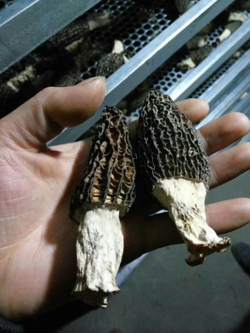 烘干机