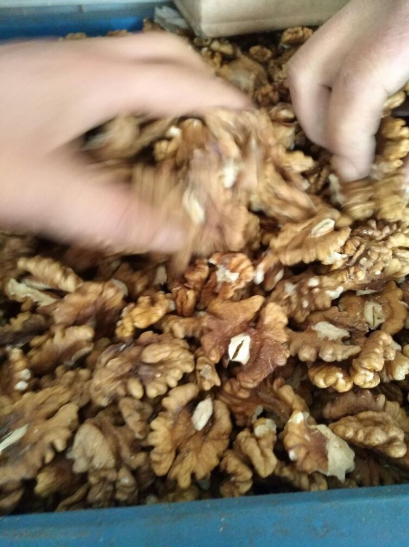 新疆，新丰核桃仁，有尖白，尖普白，普白，次白，各种规格的
