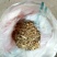 玉竹干碎片，片长三到五公分不等