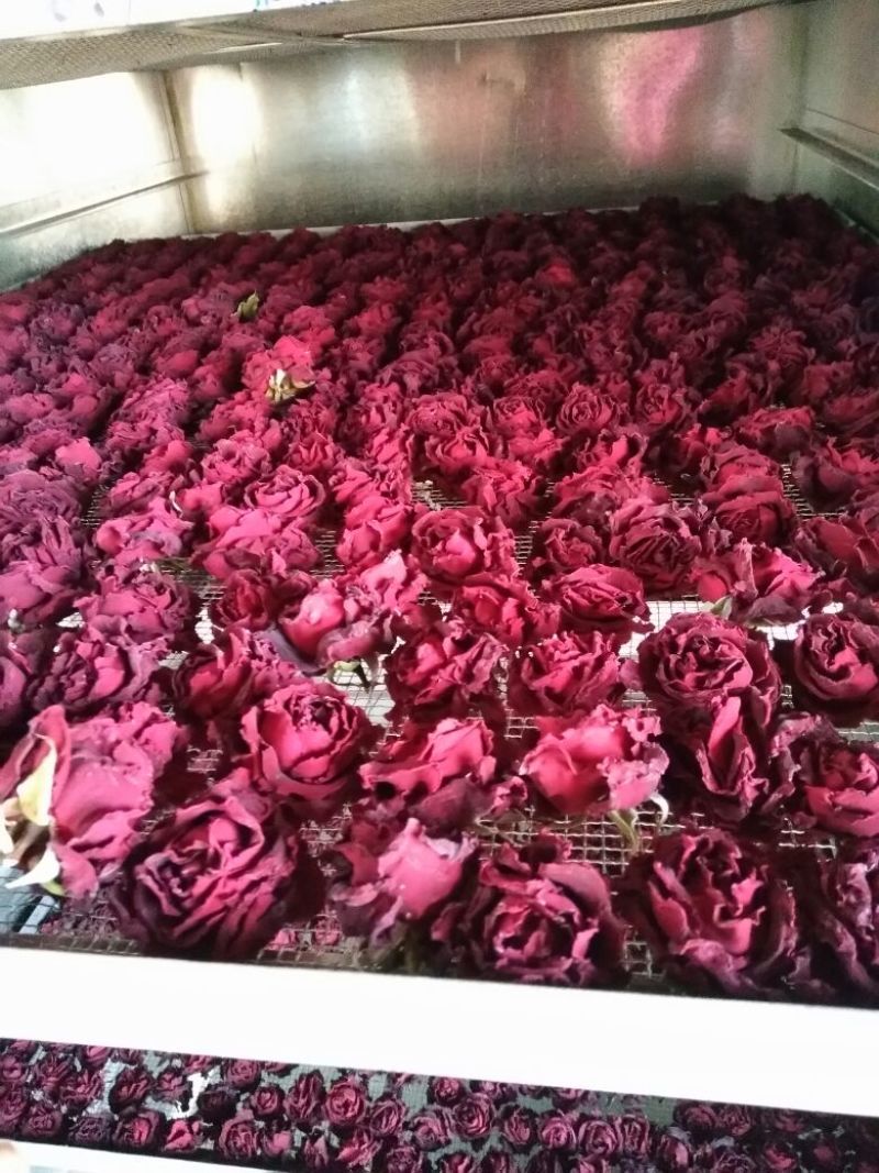 玫瑰花茶特级