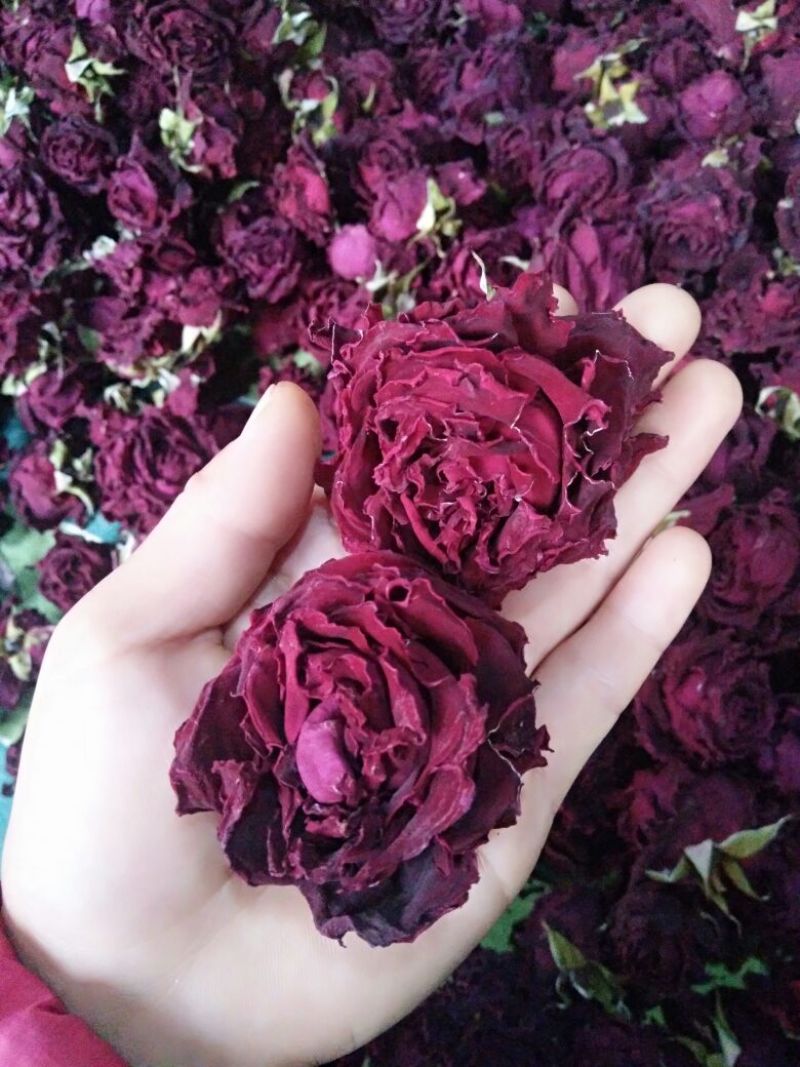 玫瑰花茶特级