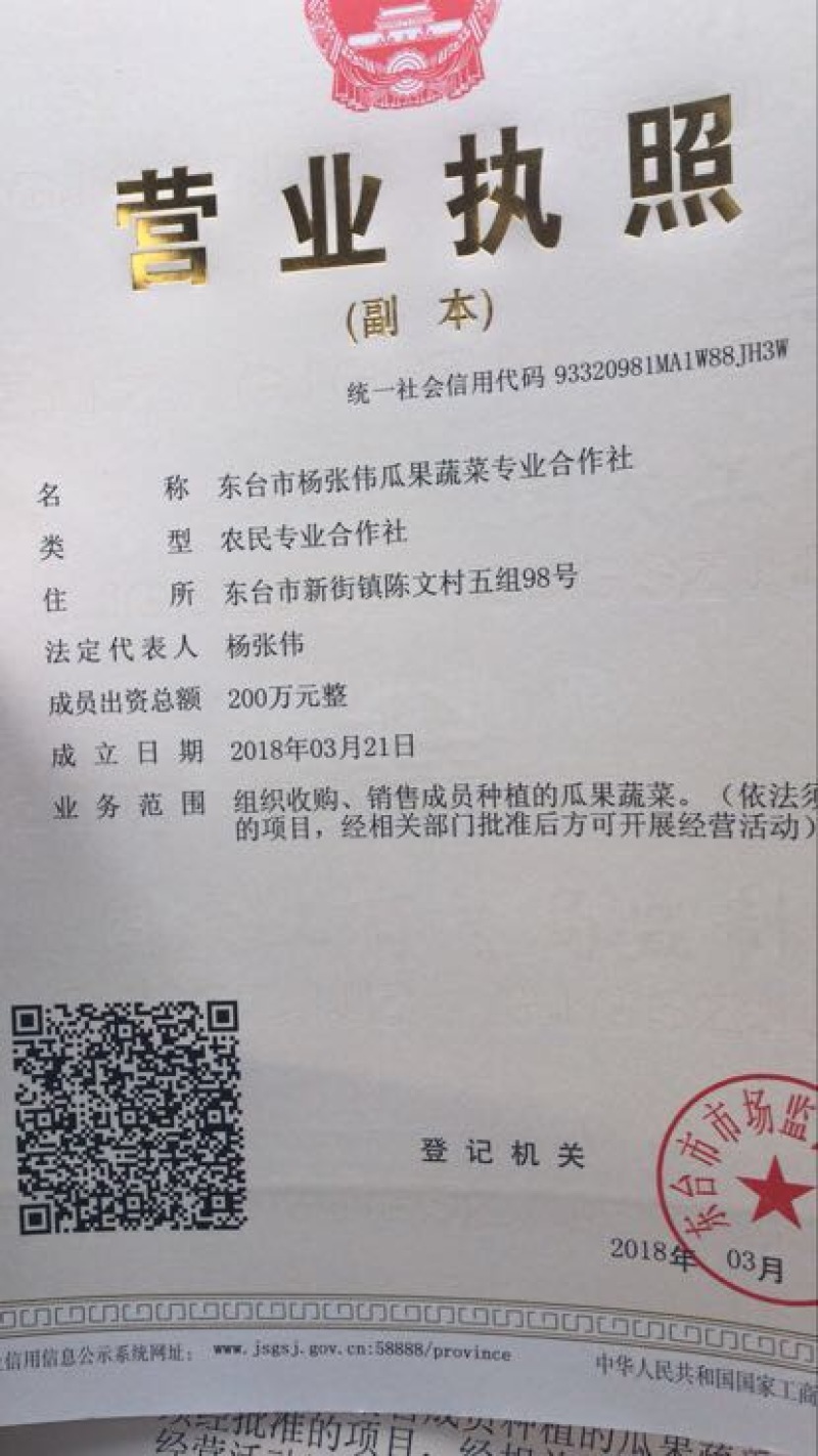 麒麟西瓜5斤打底8成熟1茬
