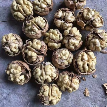 核桃去皮25~30mm干