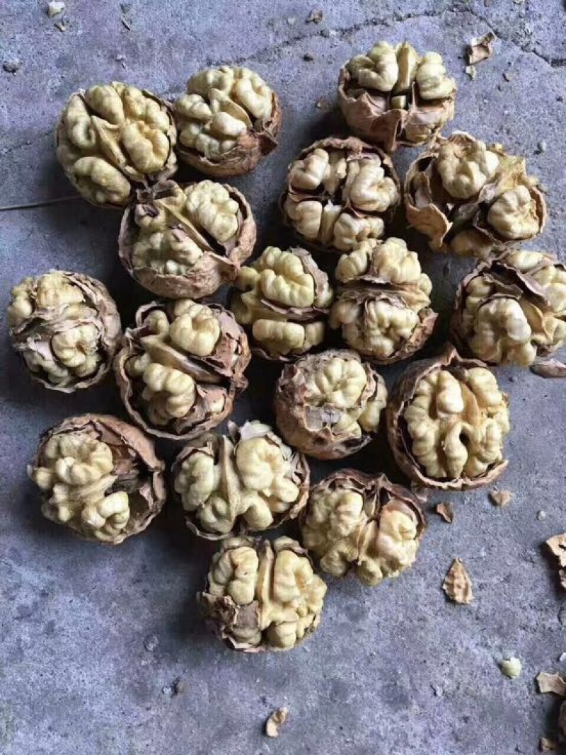 核桃去皮25~30mm干