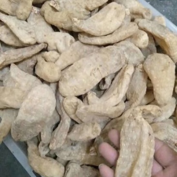 天麻二级
