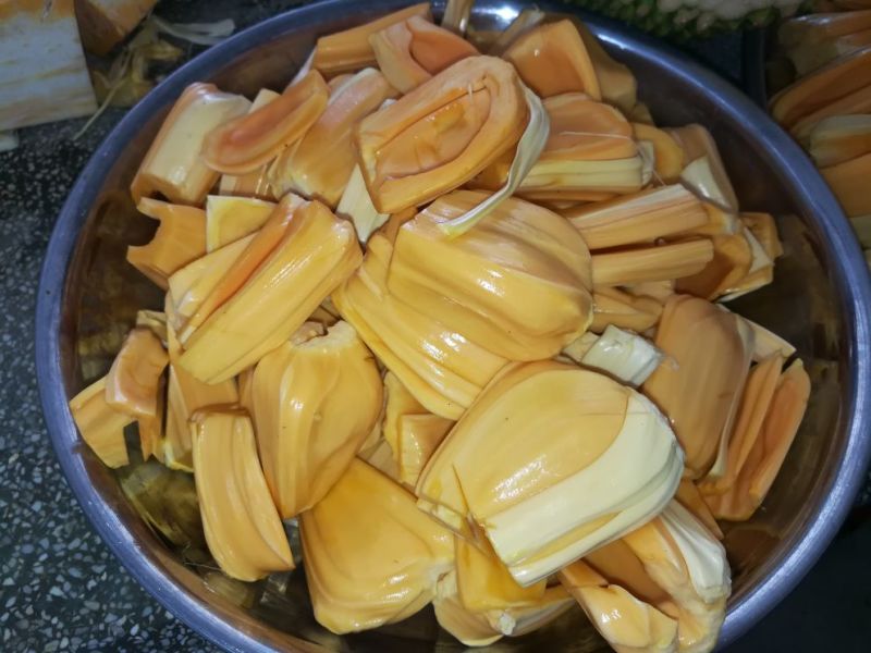 越南产红肉菠萝蜜果园直销
