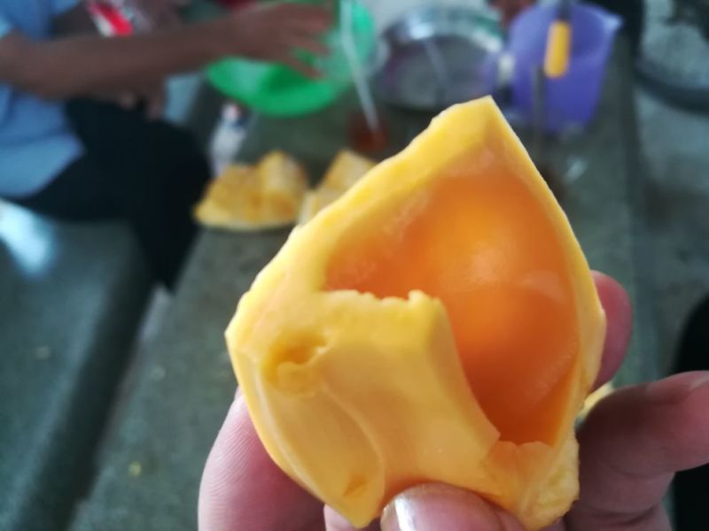 越南产红肉菠萝蜜果园直销