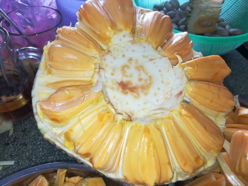 越南产红肉菠萝蜜果园直销