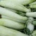 东方蜜1号甜瓜精品1.5斤以上