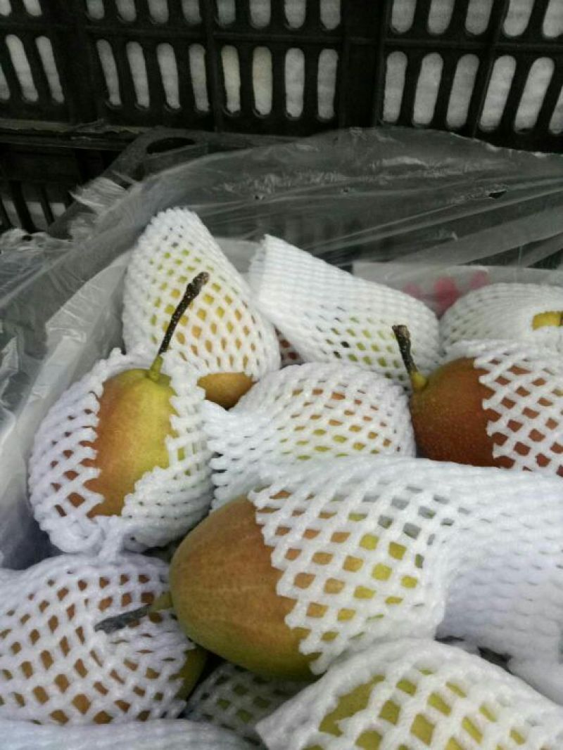 红香酥梨膜袋口感特甜，诚信代收发往全国