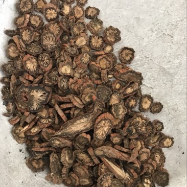 丹参特级