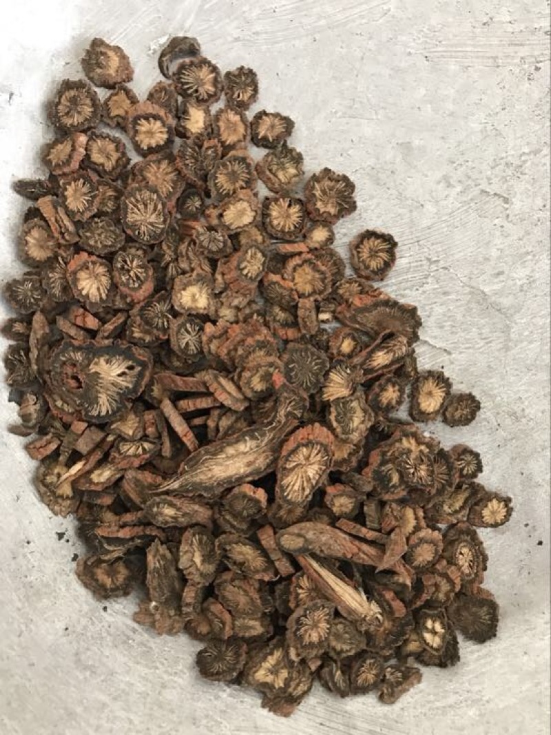 丹参特级