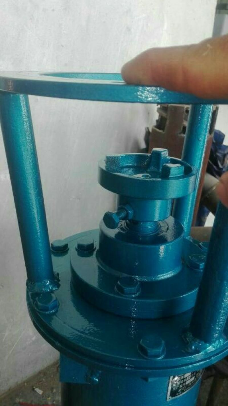 水泵抽粪泵污水泵蛟龙泵