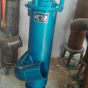 水泵抽粪泵污水泵蛟龙泵