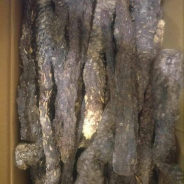 肉苁蓉油苁容