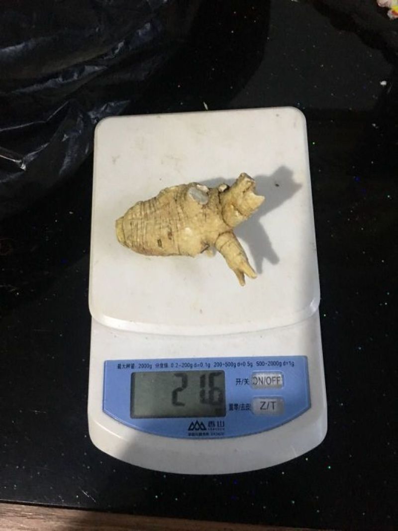 西洋参高年头参味浓，吉林长白山地产花旗参，一斤包邮