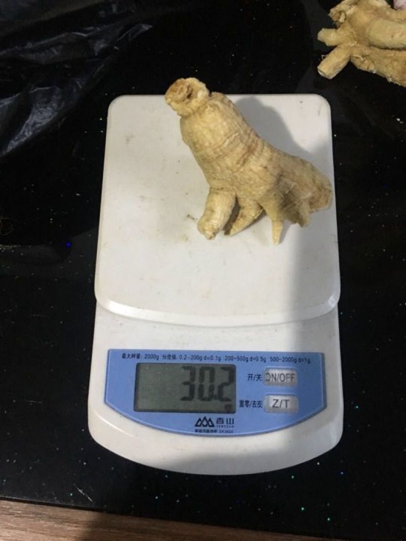 西洋参高年头参味浓，吉林长白山地产花旗参，一斤包邮