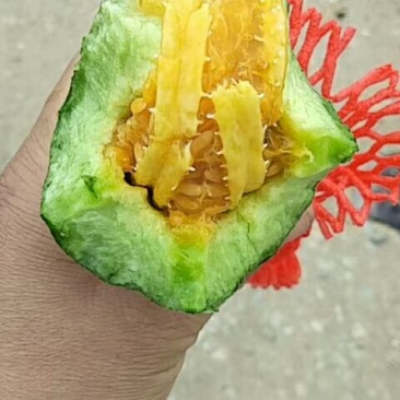 山东羊角蜜甜瓜0.7斤以上精品，大棚羊角蜜，精品甜瓜