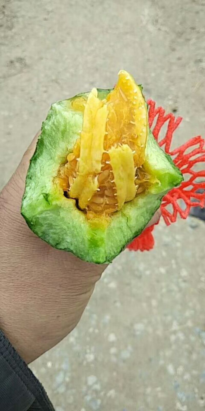 山东羊角蜜甜瓜0.7斤以上精品，大棚羊角蜜，精品甜瓜