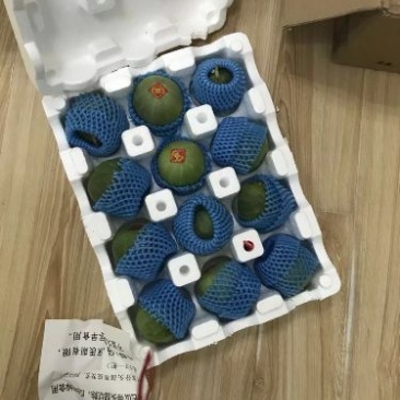 甜瓜精品1.5斤以上