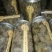 橄榄橄榄干咸橄榄煲汤食材干货批发