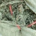 茵陈常年大量供应山东道地各种中药材