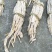 干笋