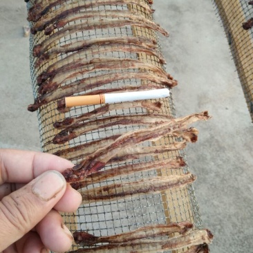 地龙地龙全开精拣