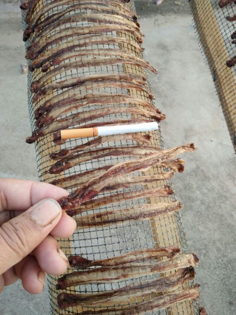 地龙地龙全开精拣