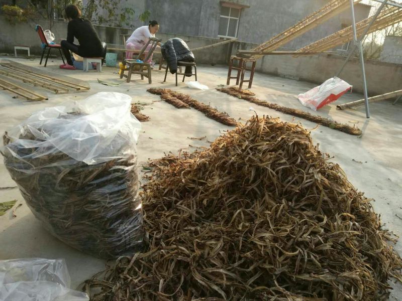 地龙地龙全开精拣