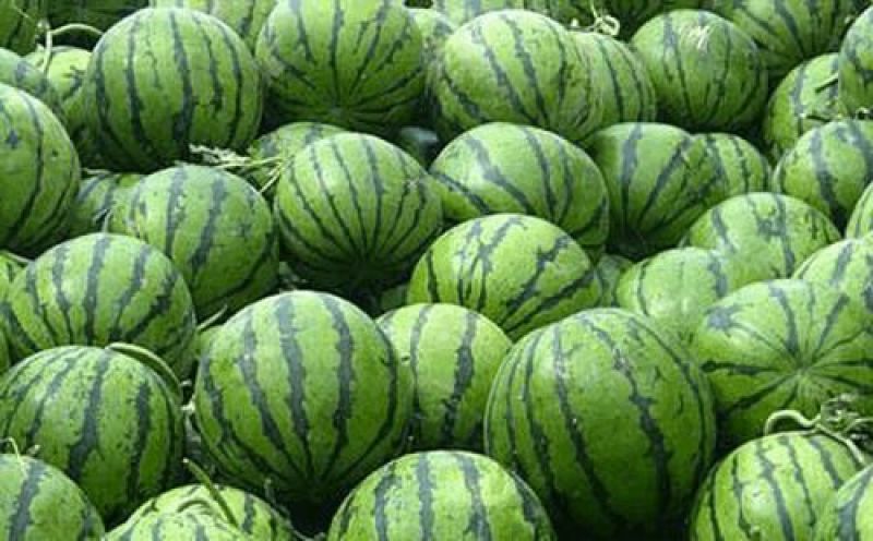 甜王美都八斤打底