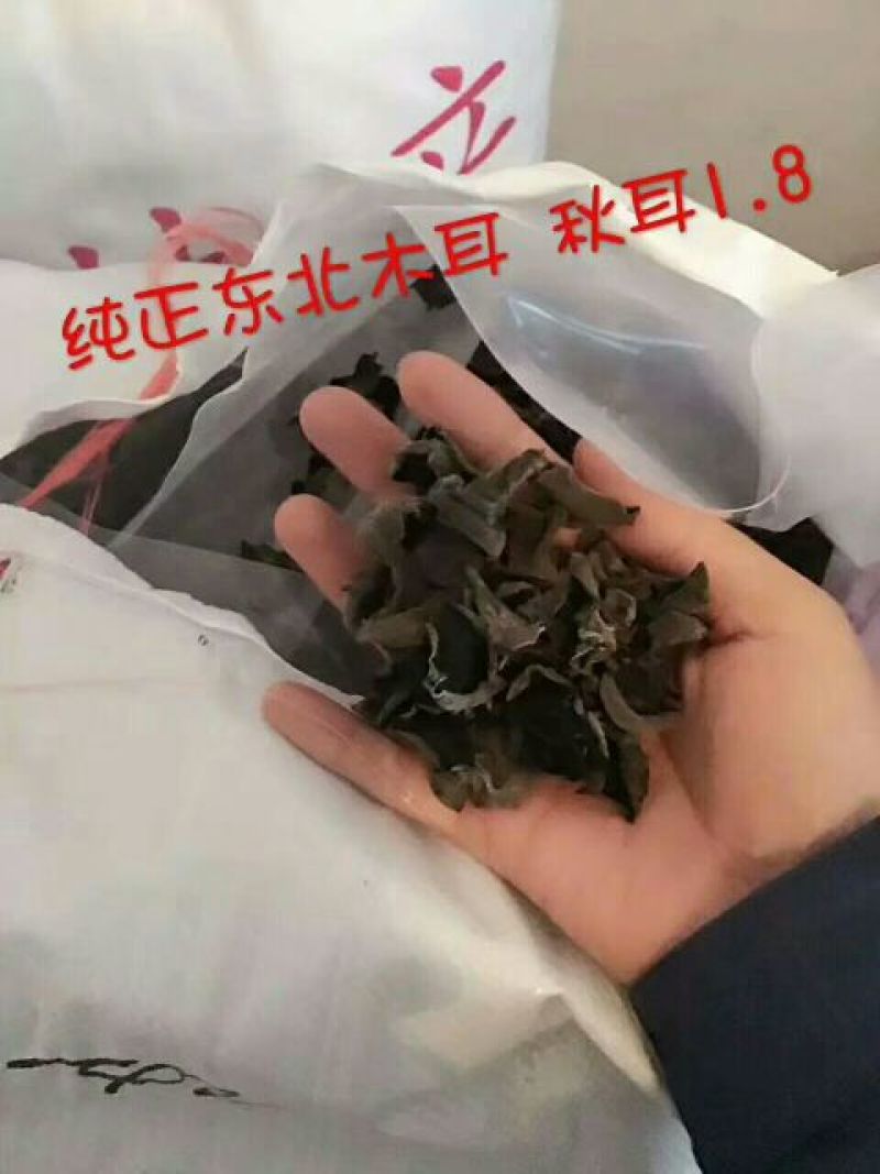 黑木耳特级