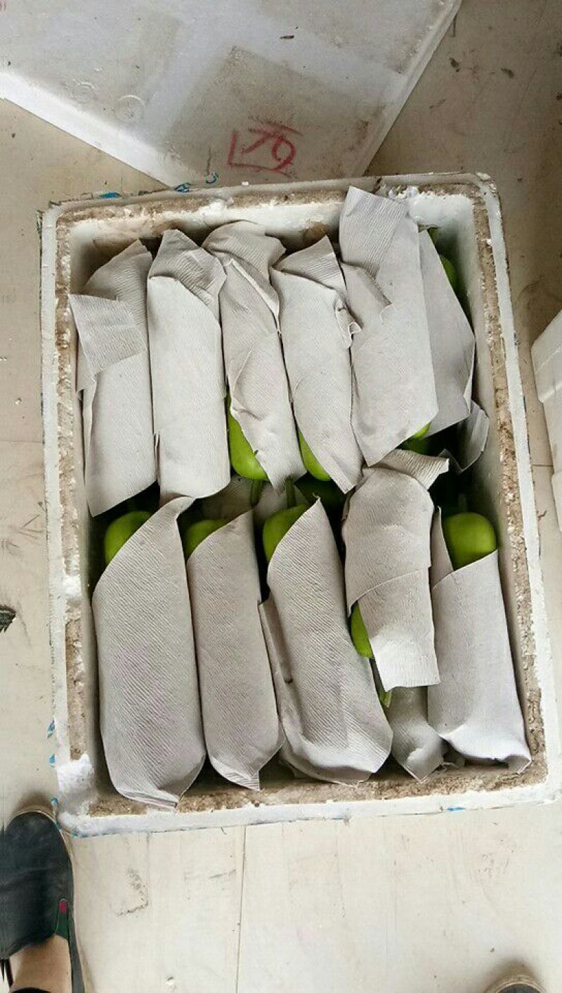 瓠瓜30~40cm5~6cm