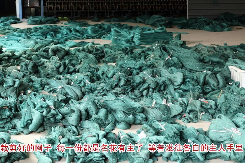 防鸟网每平方