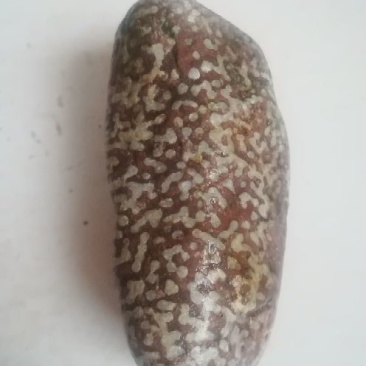 毛石