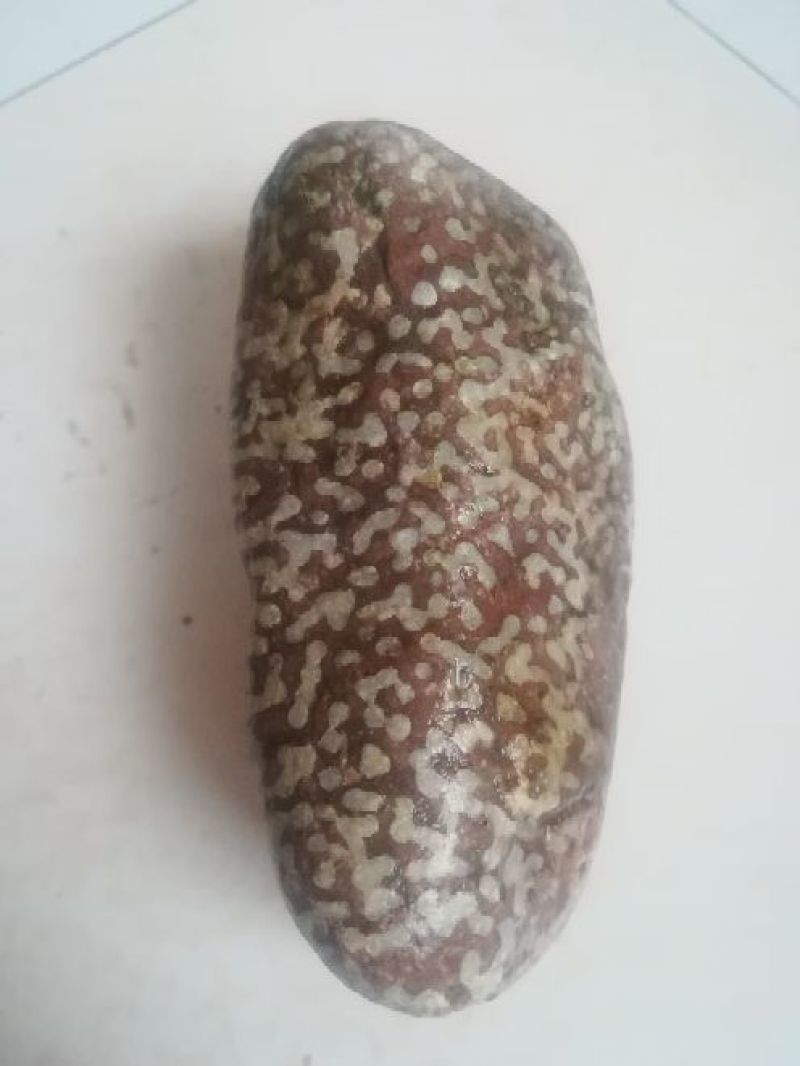 毛石
