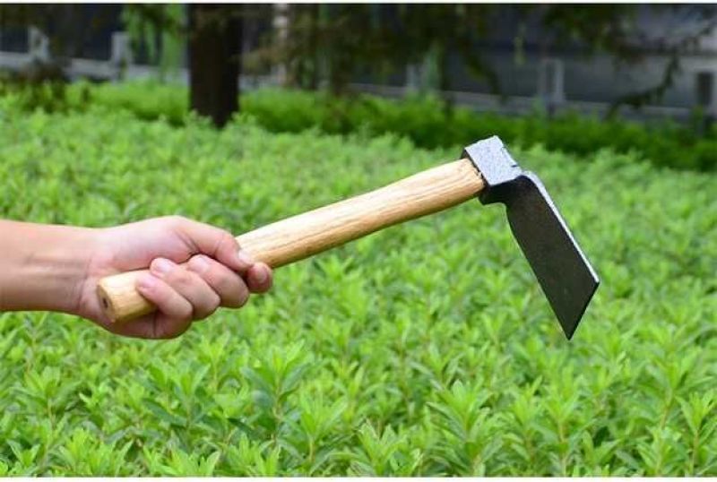锄头平价小锄头种菜农用锄挖土农具工具户外两用家用小型