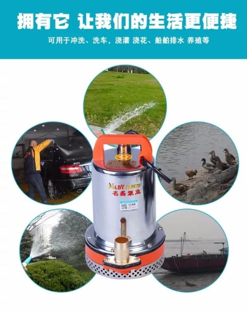 水泵直流潜水泵电瓶电动车家用农用抽水机12V24v48V