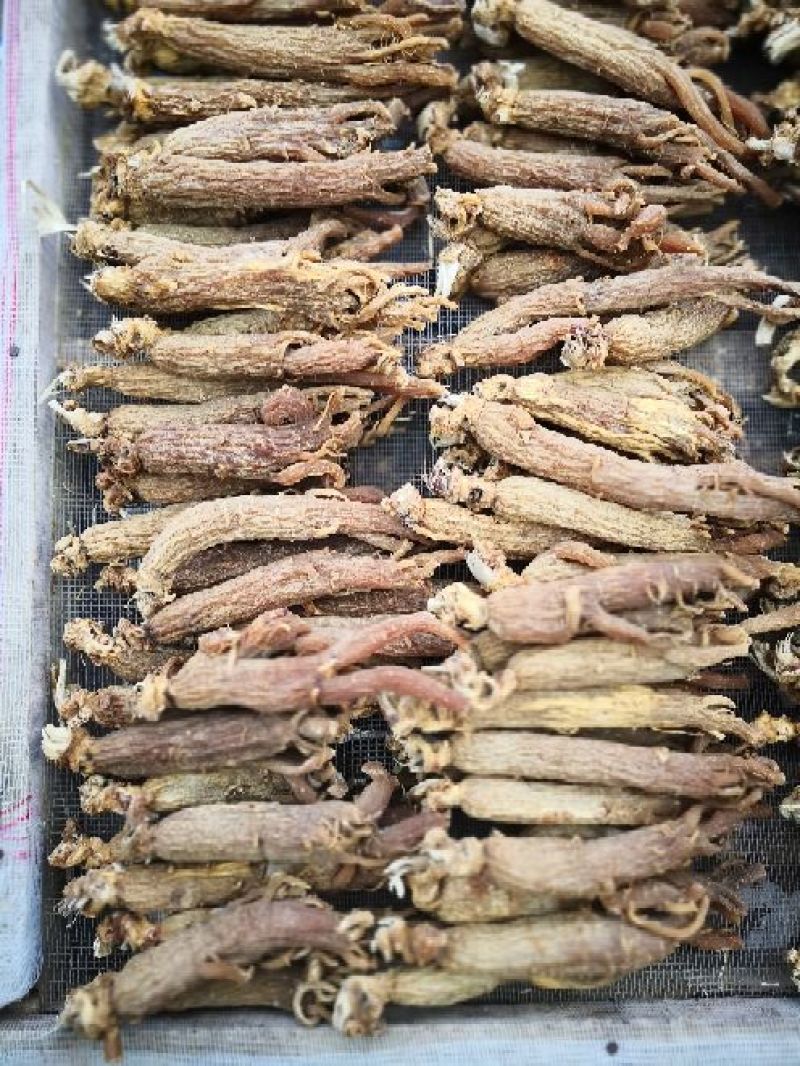 【精选】长白山无糖红参整枝可切片250克/袋5-10年包邮