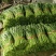 青梗子蕹菜30厘米以上