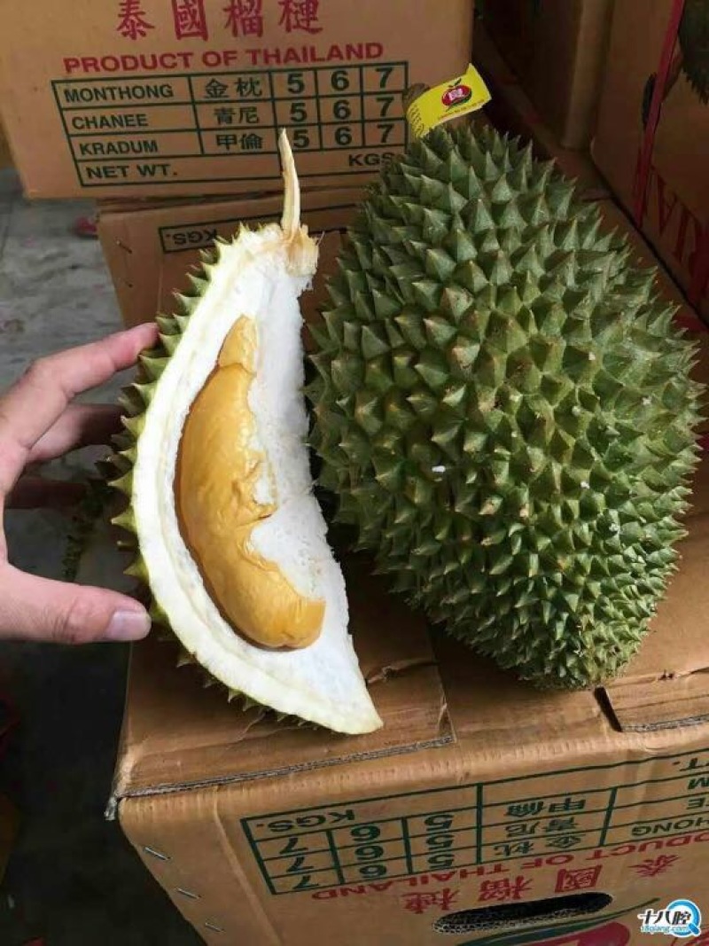 泰国拖曼尼榴莲产地直采发全国果型好口感香甜糯