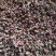 大红袍花椒一级干
