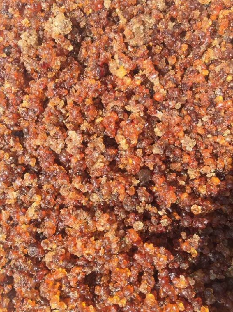桃胶散装食用桃胶，一手货源，源头收购代收代办