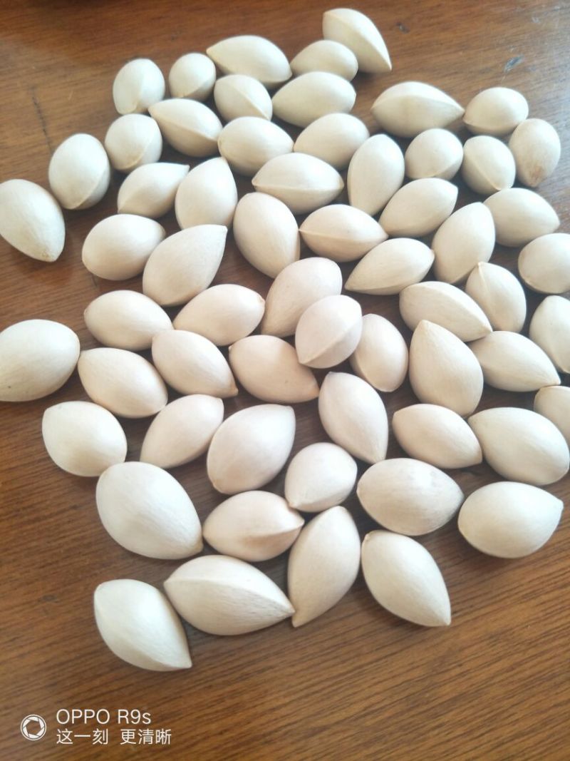 白果