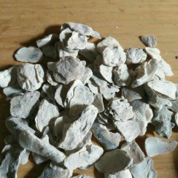 牡蛎生牡蛎福建公斤起批无硫无添加不包邮正品