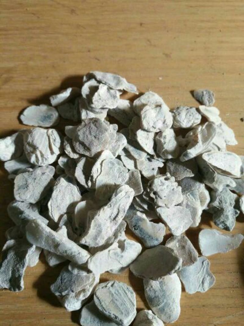 牡蛎生牡蛎福建公斤起批无硫无添加不包邮正品
