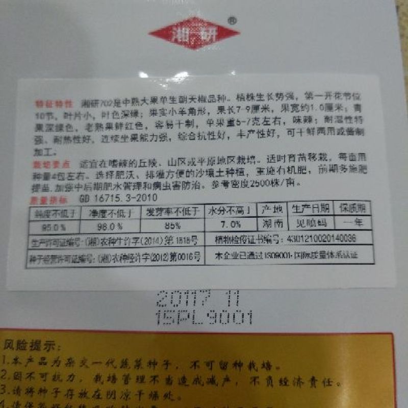 朝天椒种子97%以上