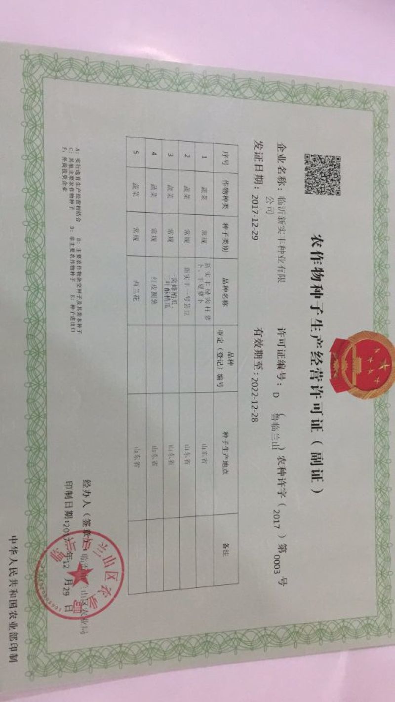 朝天椒种子97%以上