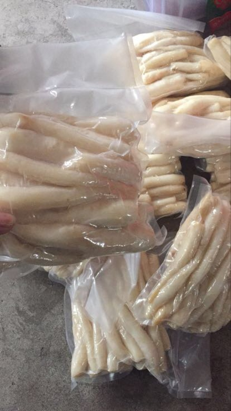 山海螺