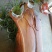 春兰